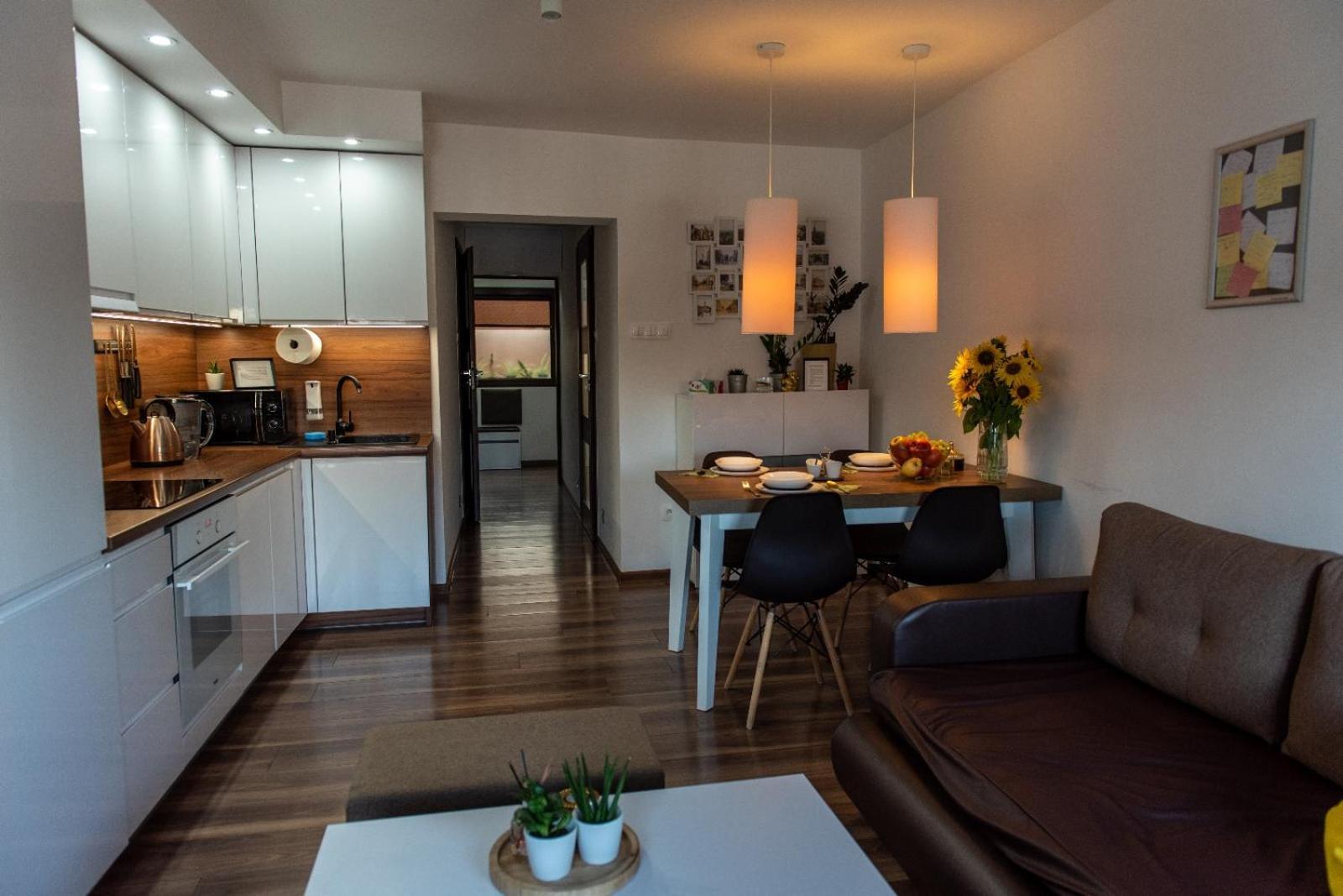 Apartament Crooked Stairs Ζιελόνα Γκόρα Εξωτερικό φωτογραφία